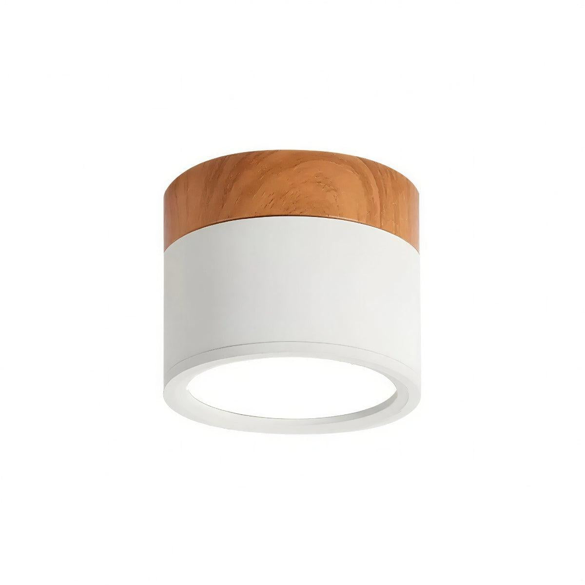 Cylindrical Flush Mount Downlight, Aluminum Body, Integrated 10W LED, Two Sizes - Image 9